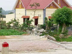Ảnh bìa bài viết 540386