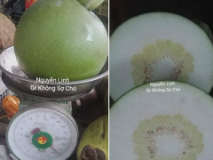 Ảnh bìa bài viết 540133