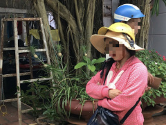 Ảnh bìa bài viết 540677