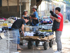 Ảnh bìa bài viết 540570