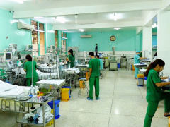 Ảnh bìa bài viết 540999