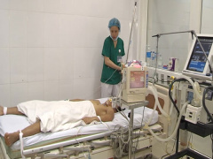 Ảnh bìa bài viết 541248