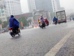 Ảnh bìa bài viết 541263