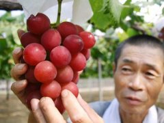 Ảnh bìa bài viết 541602