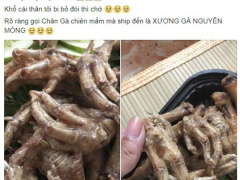 Ảnh bìa bài viết 542027