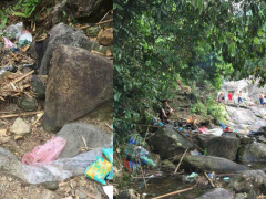 Ảnh bìa bài viết 542015