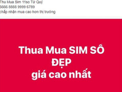 Ảnh bìa bài viết 541874