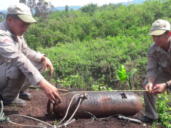 Ảnh bìa bài viết 542542