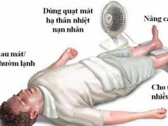 Ảnh bìa bài viết 542493