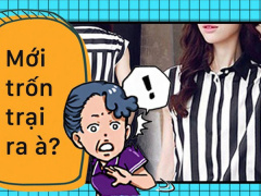 Ảnh bìa bài viết 542563