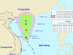 Ảnh bìa bài viết 543266