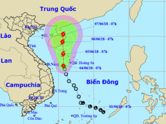 Ảnh bìa bài viết 543128