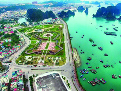 Ảnh bìa bài viết 543003