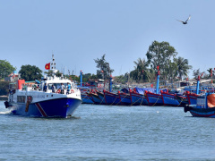 Ảnh bìa bài viết 543210