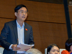 Ảnh bìa bài viết 543103