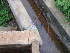 Ảnh bìa bài viết 543526