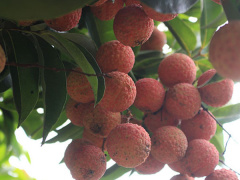 Ảnh bìa bài viết 543767