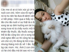 Ảnh bìa bài viết 543808