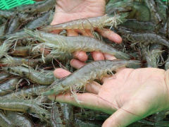 Ảnh bìa bài viết 543641