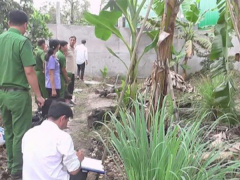 Ảnh bìa bài viết 543794