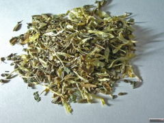 Ảnh bìa bài viết 543900