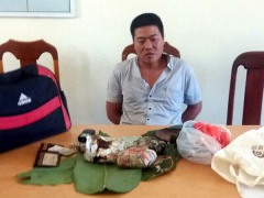 Ảnh bìa bài viết 544253