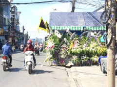 Ảnh bìa bài viết 544270
