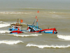 Ảnh bìa bài viết 544346