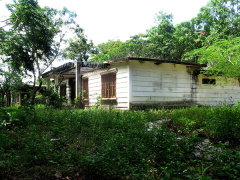 Ảnh bìa bài viết 544605