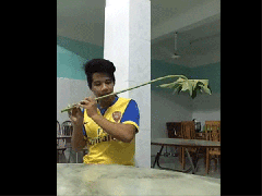 Ảnh bìa bài viết 544644