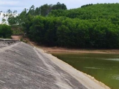 Ảnh bìa bài viết 545115