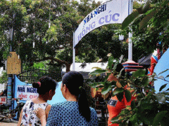 Ảnh bìa bài viết 545095