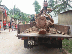 Ảnh bìa bài viết 545101