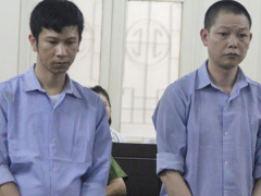 Ảnh bìa bài viết 545305