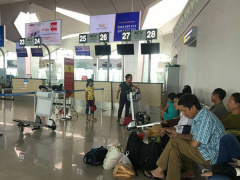 Ảnh bìa bài viết 545359