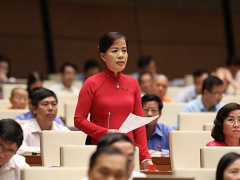 Ảnh bìa bài viết 545313