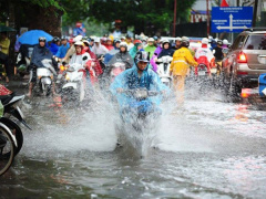 Ảnh bìa bài viết 545379