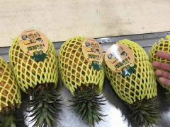Ảnh bìa bài viết 545768