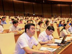 Ảnh bìa bài viết 545852