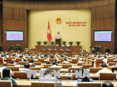 Ảnh bìa bài viết 545678