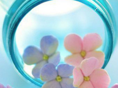 Ảnh bìa bài viết 546241