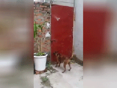 Ảnh bìa bài viết 546522