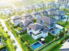 Ảnh bìa bài viết 546586