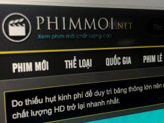 Ảnh bìa bài viết 546587