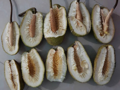 Ảnh bìa bài viết 546633