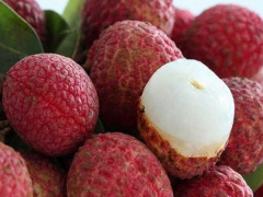 Ảnh bìa bài viết 546598