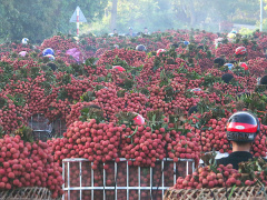 Ảnh bìa bài viết 547220