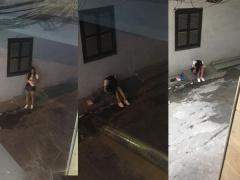 Ảnh bìa bài viết 547141