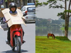 Ảnh bìa bài viết 547006