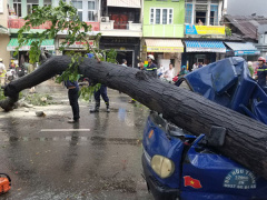 Ảnh bìa bài viết 547166